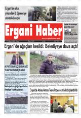 ERGANİ HABER